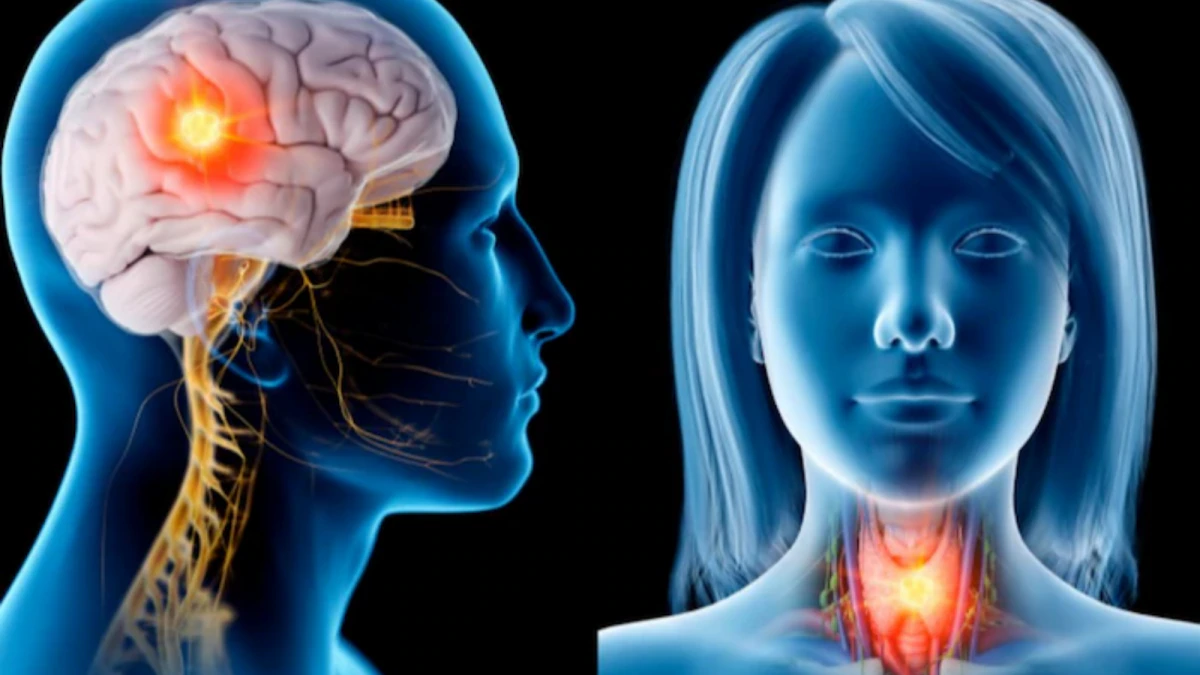 3D Conformal Radiation Therapy mapping interface